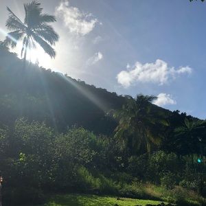 Meet your Posher, Terry